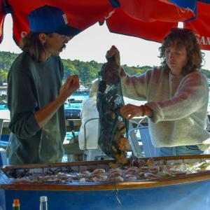 Serving oysters. 