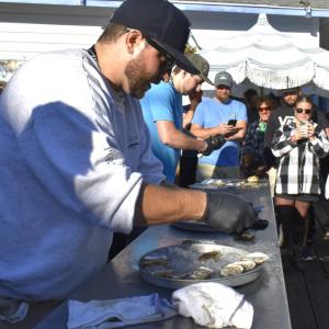 The oyster shucking competition.