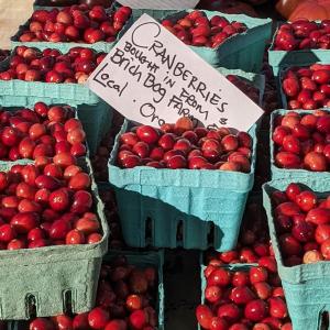 Boothbay Farmer's Market. CANDI JONETH/Boothbay Register