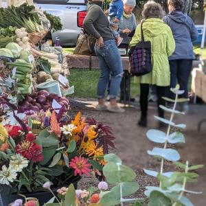 Boothbay Farmer's Market. CANDI JONETH/Boothbay Register