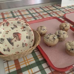 Mushrooom-themed plates fit one of the morning’s themes. SUSAN JOHNS/Wiscasset Newspaper 