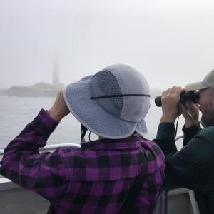 Puffin tours circle Petit Manan Island (Photo courtesy Barbara Mogel)