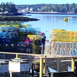 lobster traps