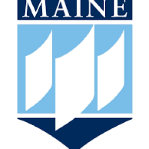 University of Maine flag