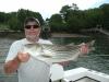 Tim Brown of Brown's Wharf Marina caught and released this 30-inch striper in local waters during an evening trip on June 24 aboard the “Shark Six.” Courtesy of Capt. Barry Gibson