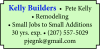 Remodeling Small Jobs and Additions